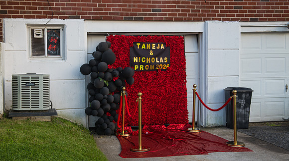 Taneja (64 of 598)