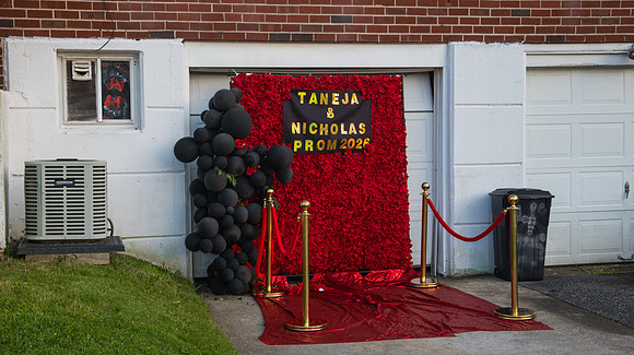 Taneja (66 of 598)