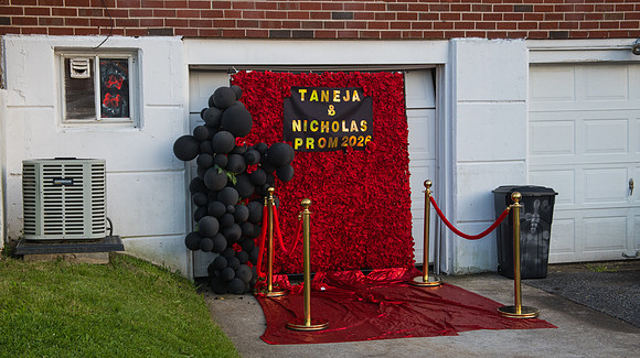 Taneja (69 of 598)