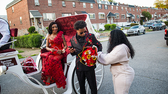 Taneja (209 of 598)