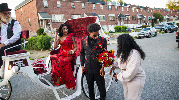 Taneja (220 of 598)