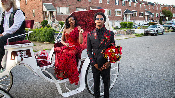 Taneja (228 of 598)