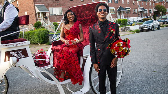 Taneja (230 of 598)