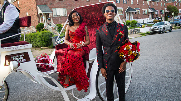 Taneja (231 of 598)