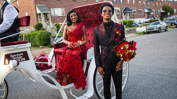 Taneja (232 of 598)