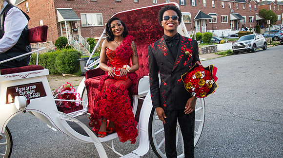 Taneja (233 of 598)