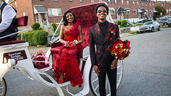 Taneja (234 of 598)