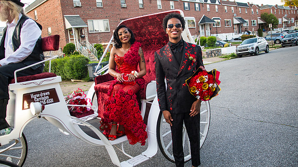 Taneja (240 of 598)
