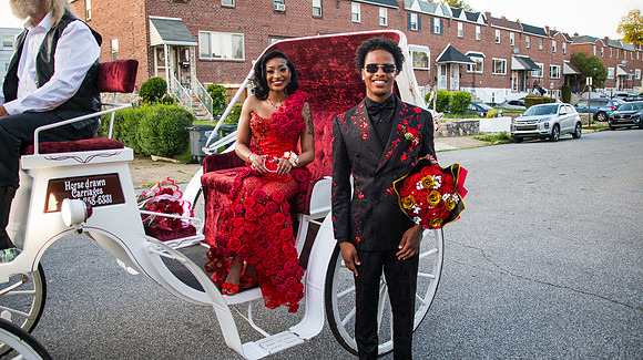 Taneja (244 of 598)