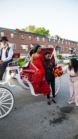 Taneja (279 of 598)