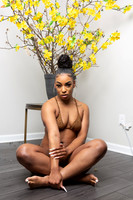 CiCi-20